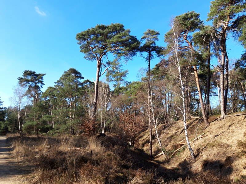 Natuur en biodiversiteit