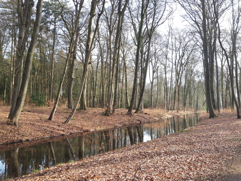 Rapportage Woningbouw in hout