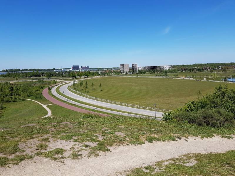 Toegang tot de stad (advies van de Rli)